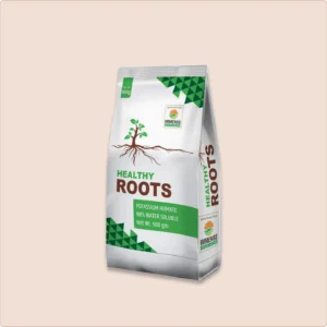 HEALTHY ROOT